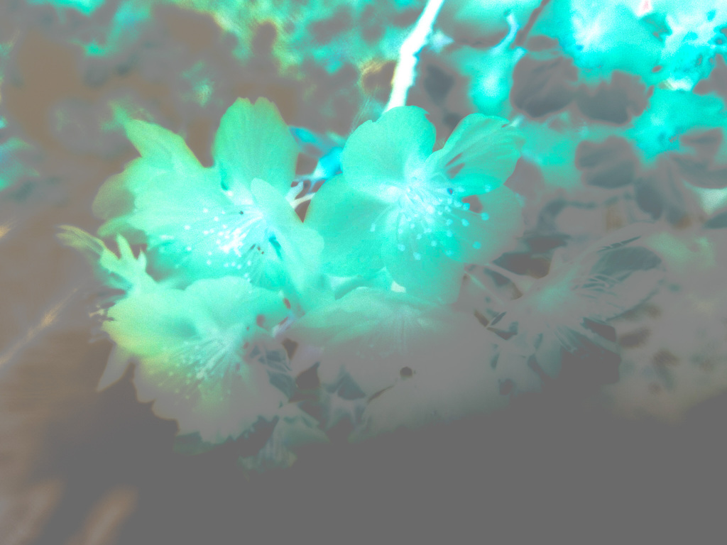 10DF81AB-9DB9-4082-B896-B630D0C9572F