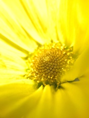 9D6E8C45-84B9-433A-B980-B276D7FD257F