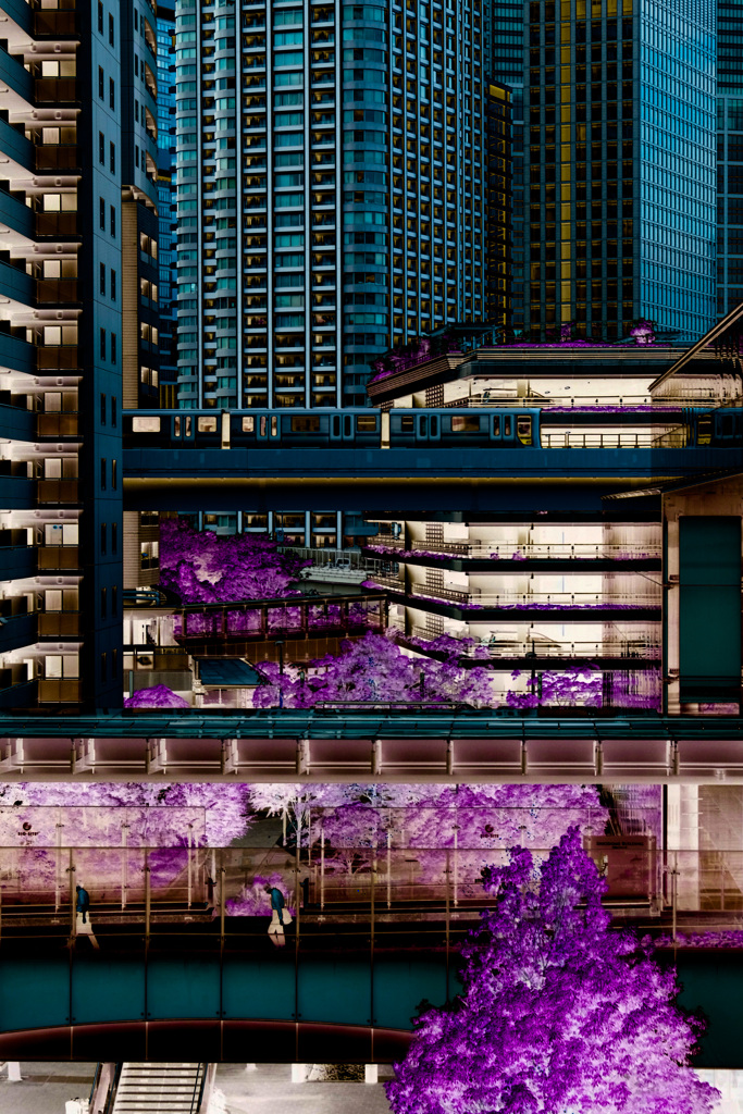 DF016A93-6590-4C4A-A6FA-9C0EB962C60F