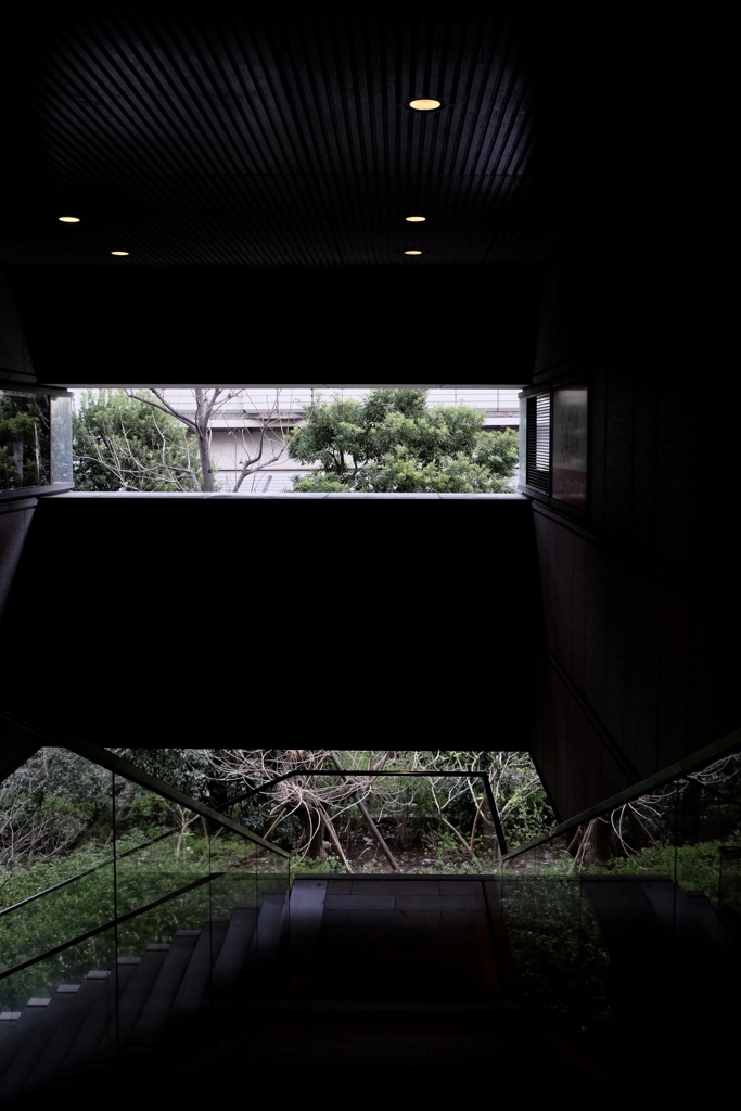A3E732C4-B439-4E74-911F-48DE086C712D