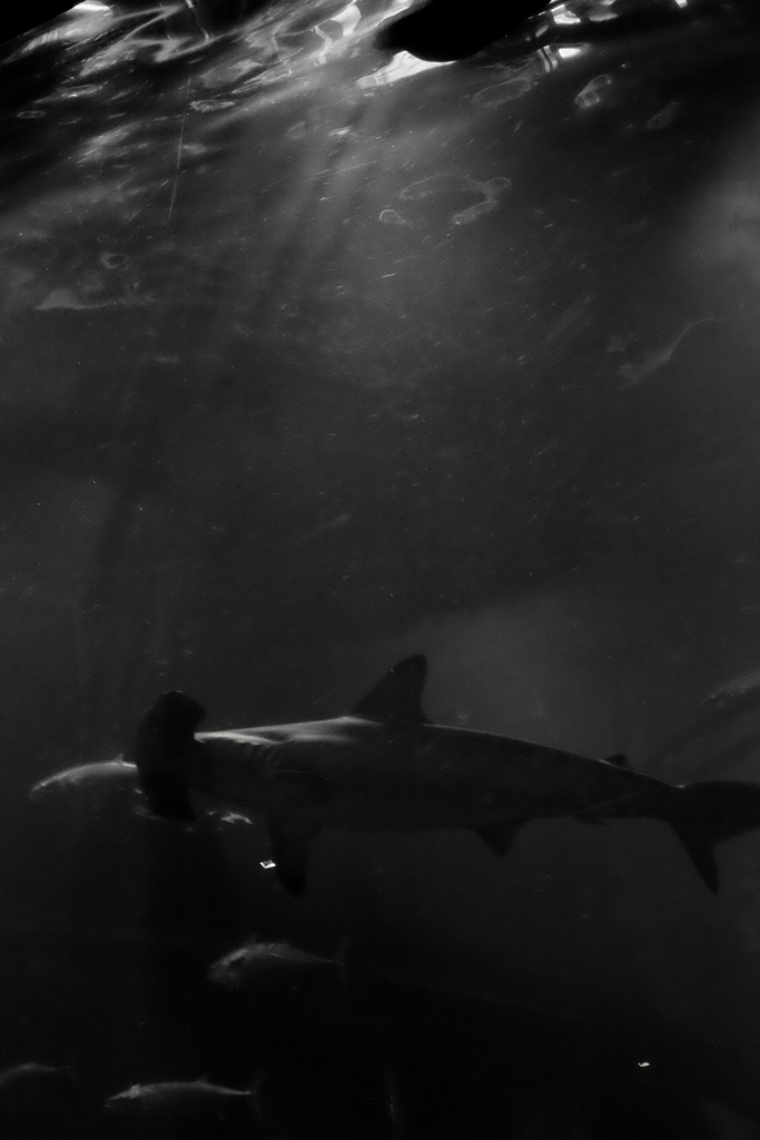 02138753-BAEC-473A-B397-D04C172C3BE1