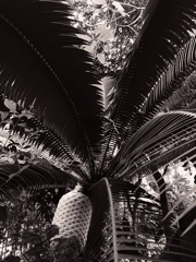F1740977-0BA7-48C3-A773-BEAA3CA40AE4
