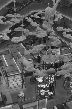 932DD27C-5564-4F59-AF3C-6D510B36DDFE