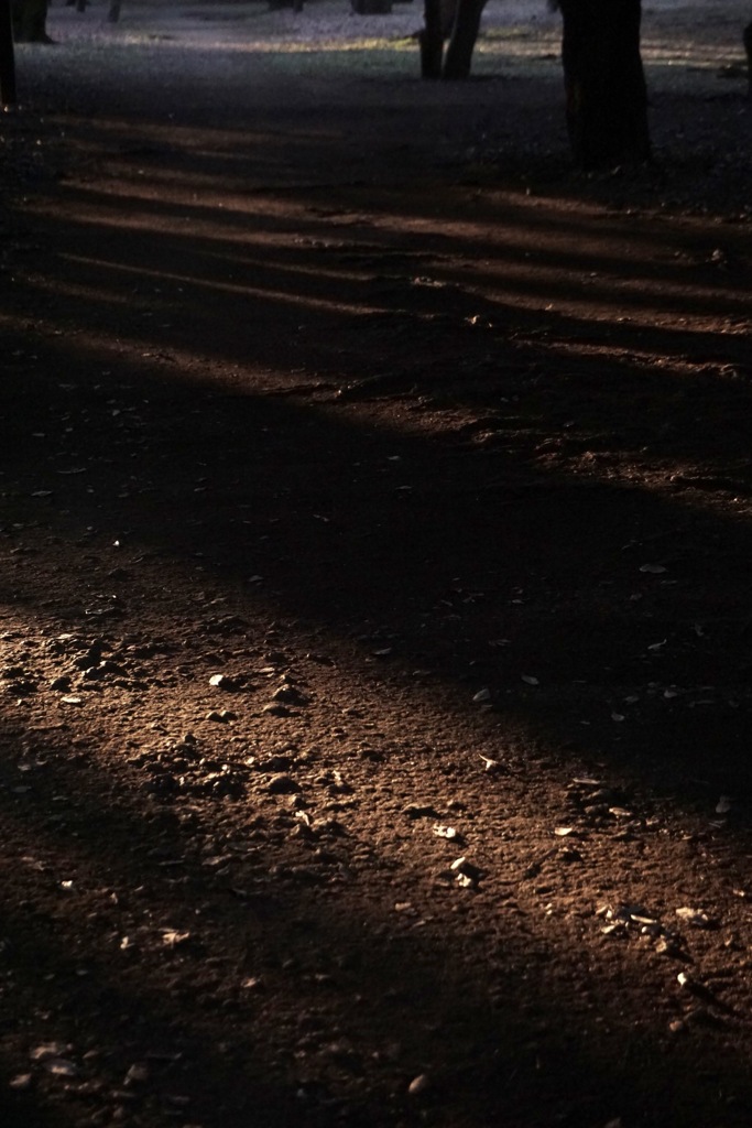 2252BE88-BB0C-4A4F-A6B1-AE26869E3A56