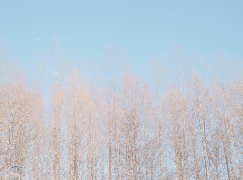 B4F1C4DB-AB6D-4398-955D-75FBC26E8165