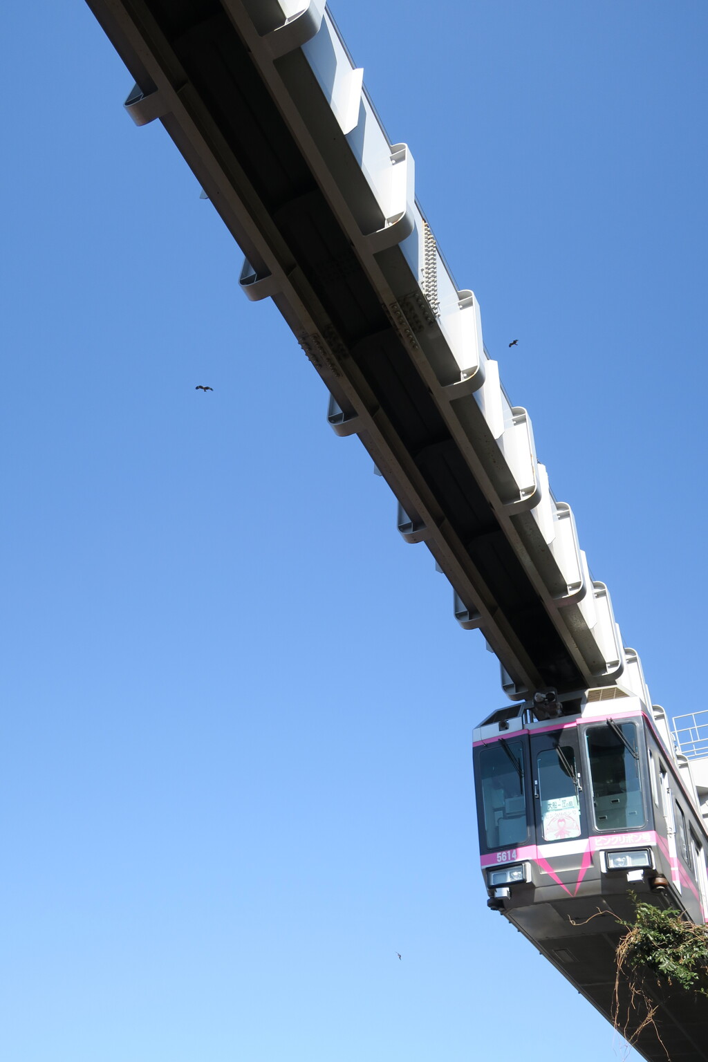 D92E14E9-D67D-45C7-90B2-25F913AEB631