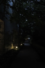 B0D33995-C5D8-4212-9427-30B283A63301