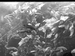 E389F097-6C71-425B-837B-21B4FF513398