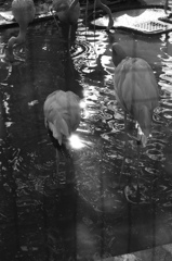 BD5E0A06-191D-4F24-83D8-A4988AD9783D