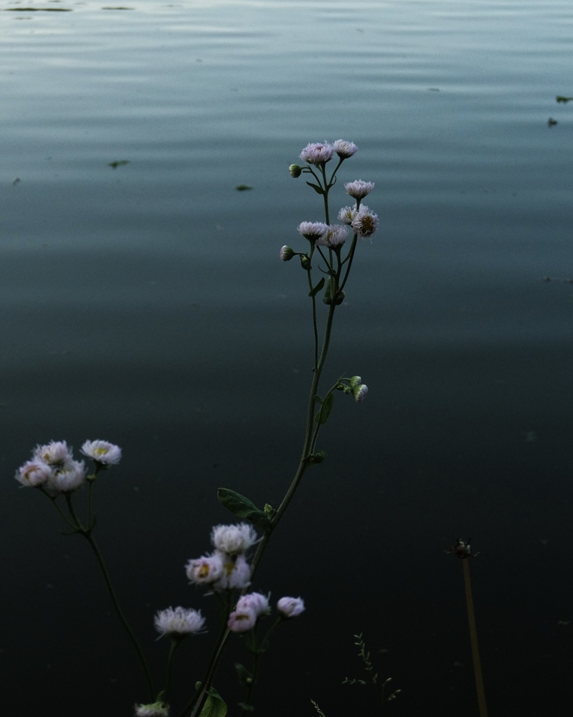 DSCF5522