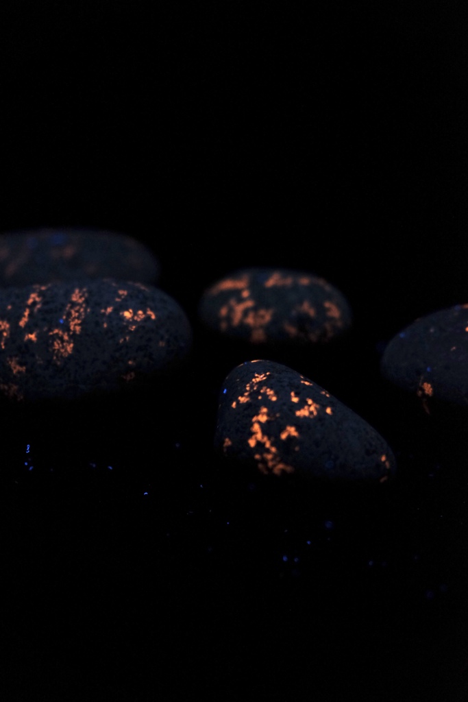 B20CE36E-E792-4A6D-817F-EE9285544ADE