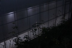 9493C1D4-5D54-49CA-A435-B65DEC6AE931