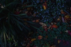 315CD097-E35E-4330-A5E6-EC6B9E839295