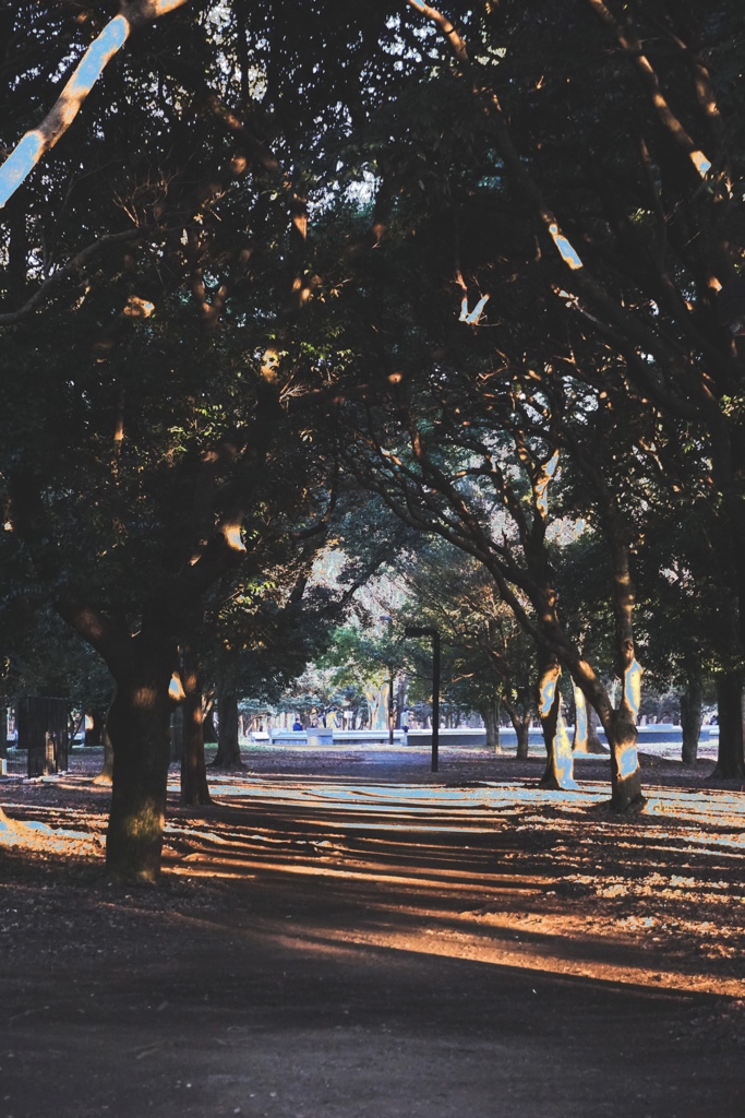 CB916D56-2CAD-4F97-83C9-40ED738D2982