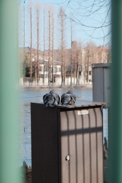 AB078035-90D1-452B-9041-2C0E0DBBE35B