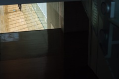 0B5D6C45-D73A-45B3-A181-25D1C1FAE9B0