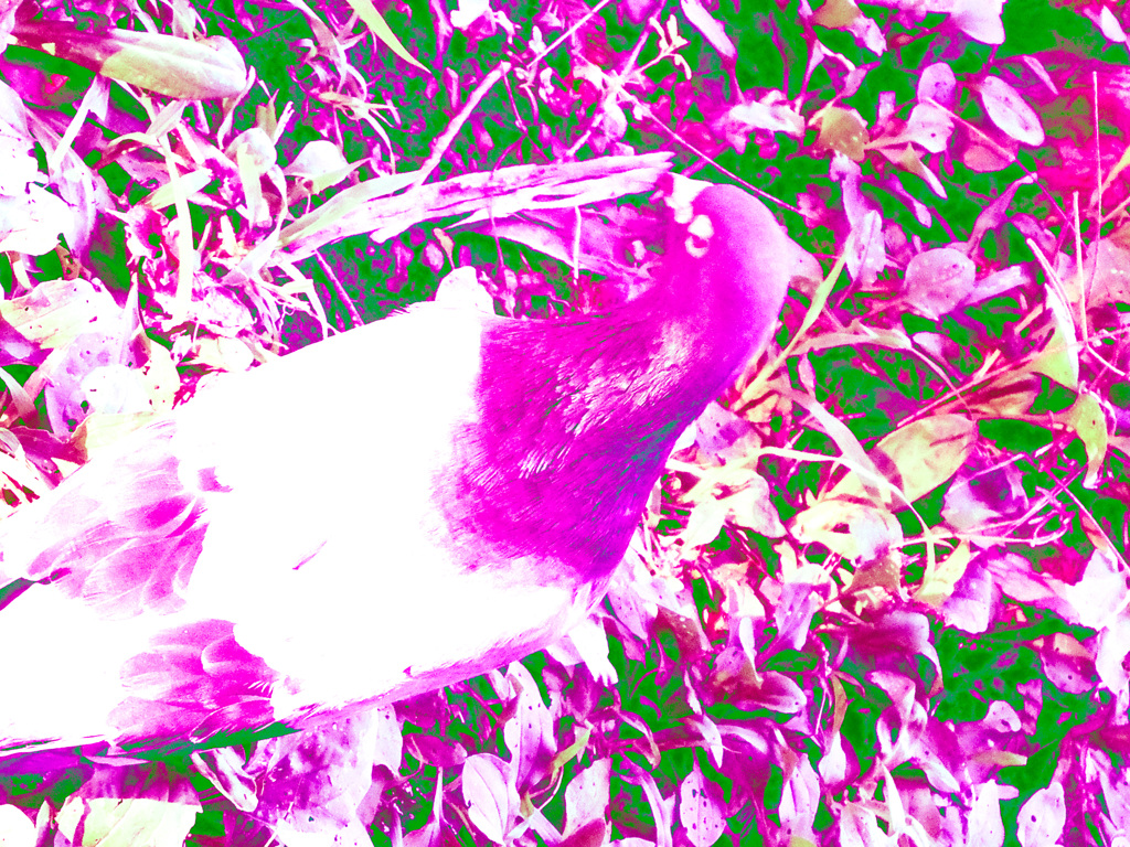 377A360D-6E60-4713-94A1-BF7532B0ED84