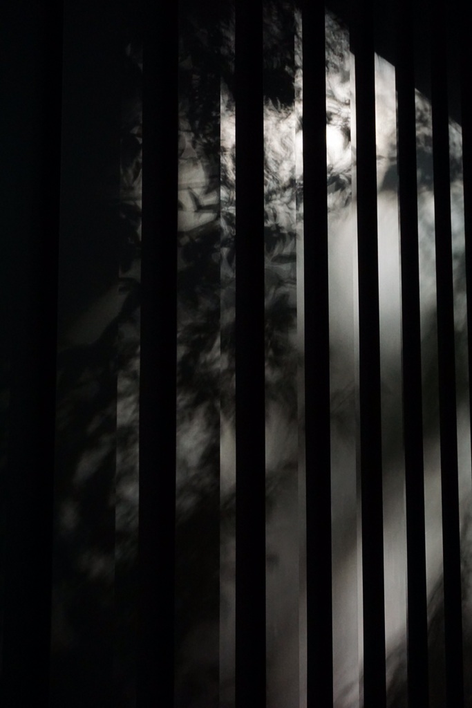 BCFEBD83-49B4-494E-8146-753A20304540