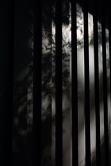 BCFEBD83-49B4-494E-8146-753A20304540