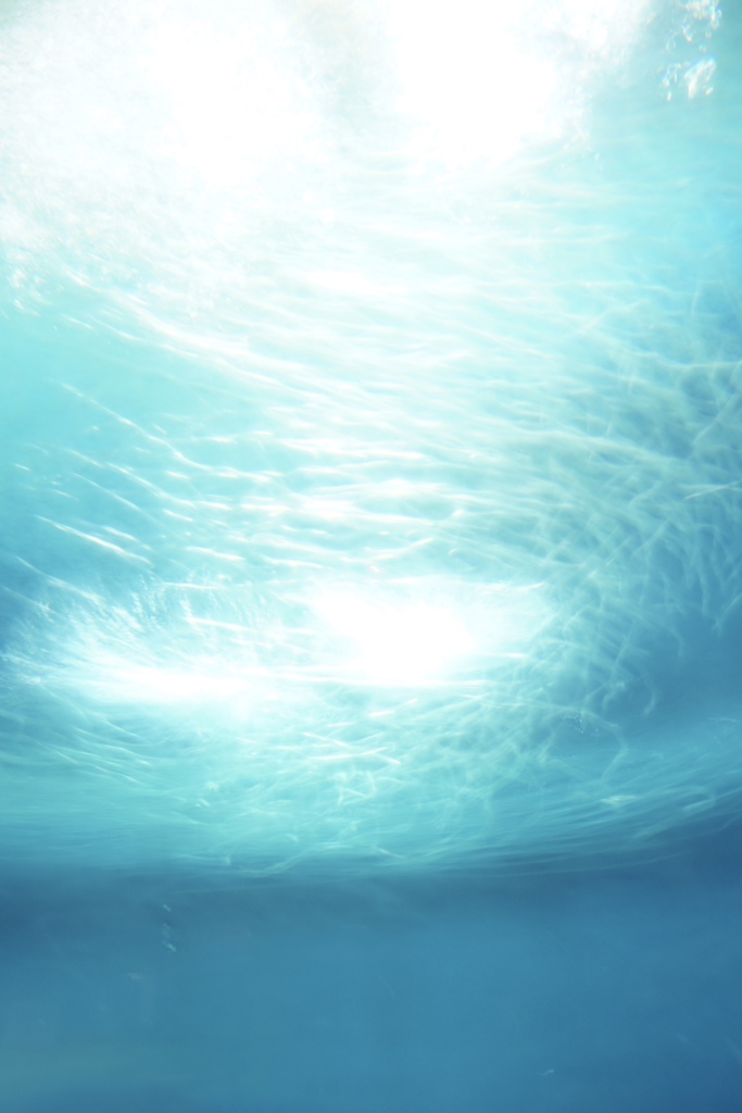 170D5C0A-8185-4211-BC24-A38A08501911