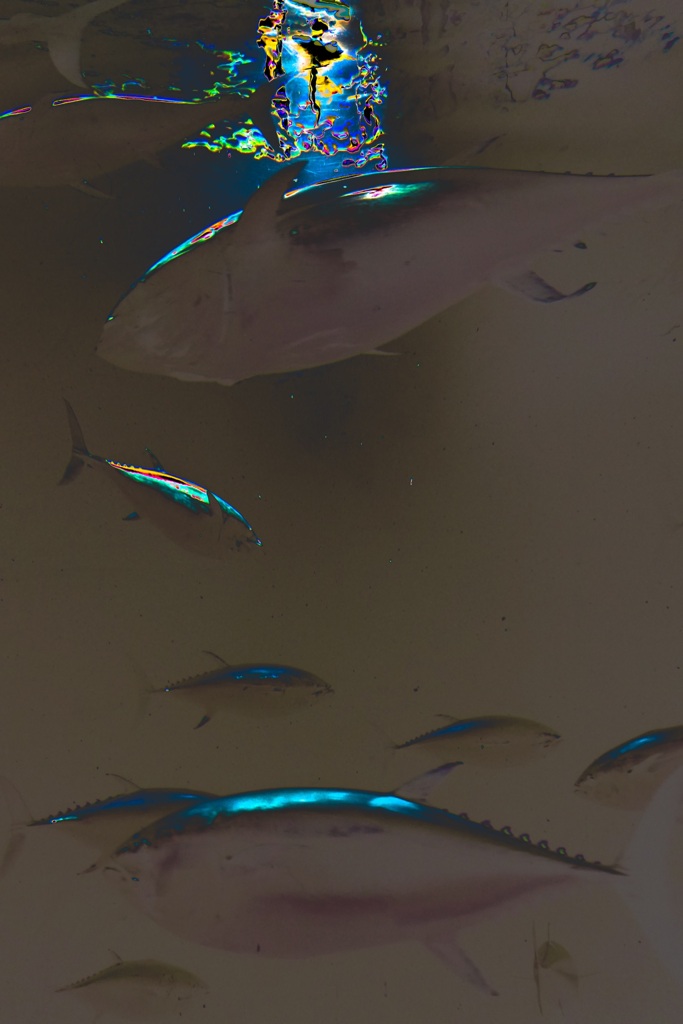 59D3A225-E392-4CF8-9AC0-F2924D104B33