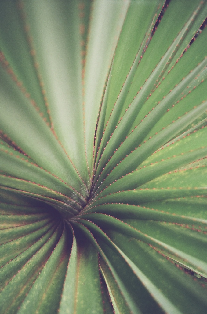 D6B02BFE-A269-4865-9E32-BACB865684D6