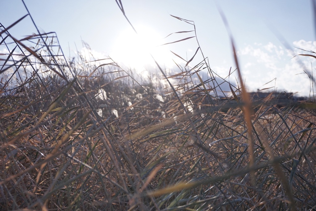 4A9F46D2-EAB6-4098-B1F2-B18EC642B34F