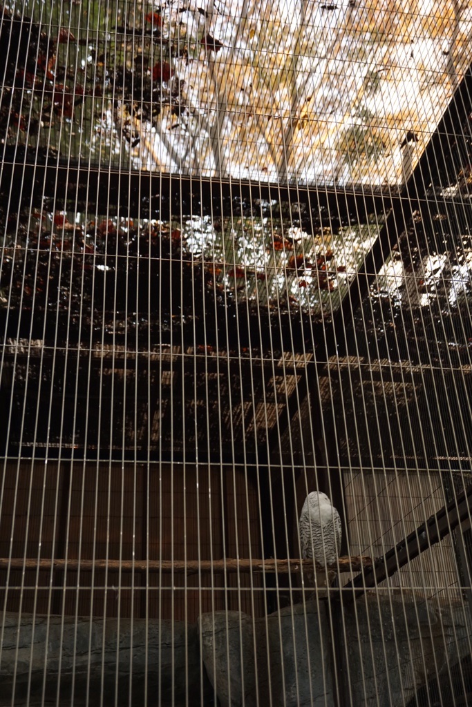 05D612A5-C797-4B2B-AFFB-E10FEB1D18EC