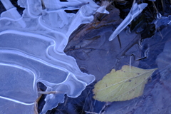 氷の模様