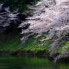 春の水辺