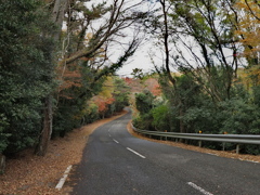 山中