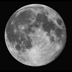 月　12月5日　月齢１４．８　満月