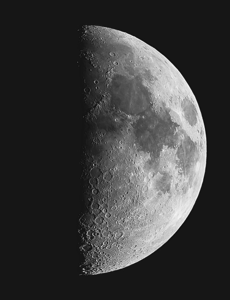 月　11月28日　月齢７．８　上弦の月