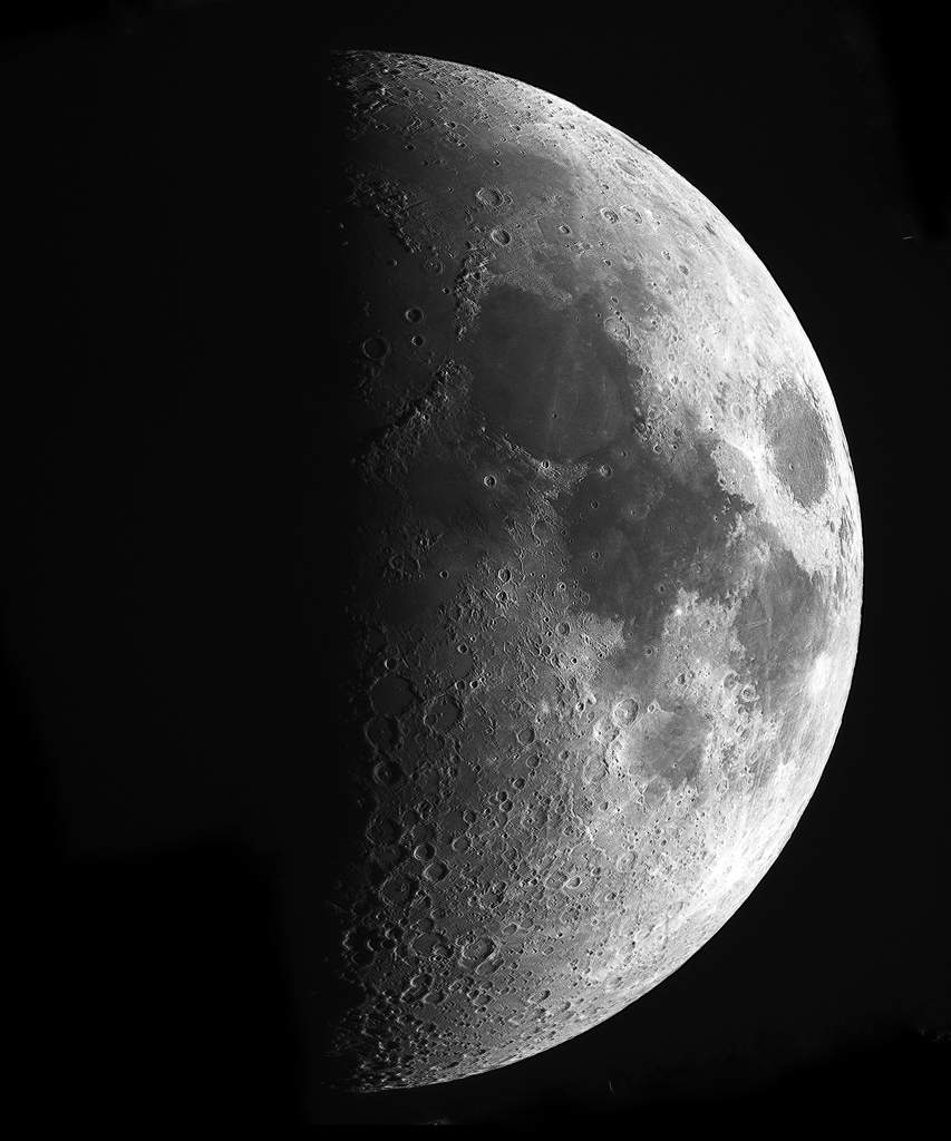 月　8月24日　月齢７．７　上弦の月