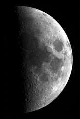 月　11月11日