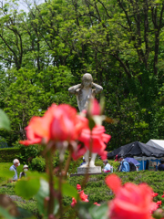 神代植物公園バラフェスタ