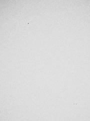 太陽　３月１４日