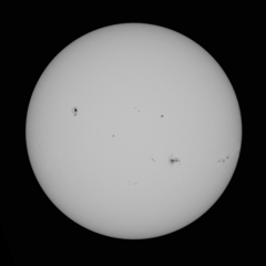 大洋　8月12日