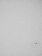 太陽　３月１５日