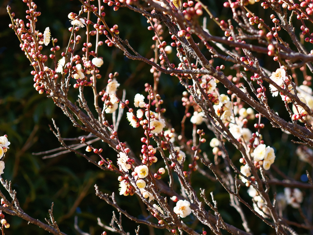 まだまだこれから