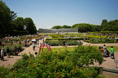 神代植物公園　バラ園