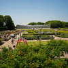 神代植物公園　バラ園