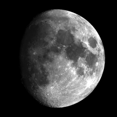 月　12月15日
