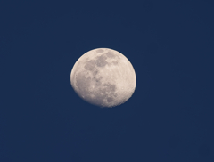 夕方（１７：３２）の月。