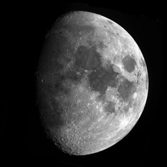 月11月14日