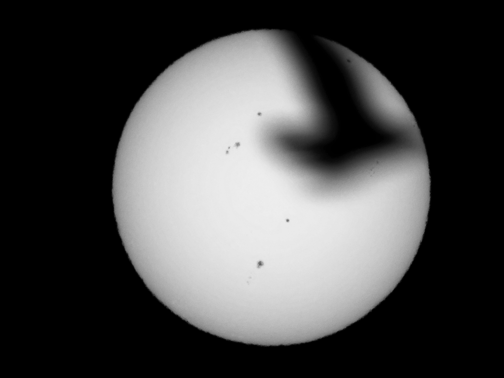 太陽撮影中に鳥が飛んだ。