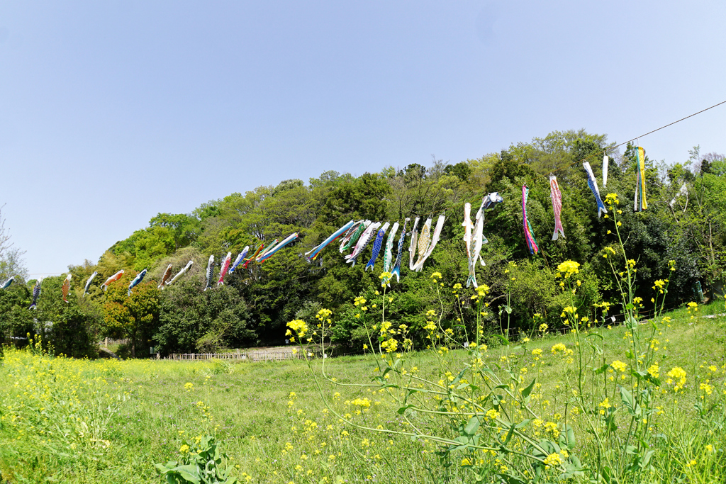 もうこんな季節