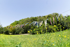 もうこんな季節