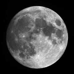 月　11月18日