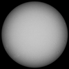 太陽　6月5日